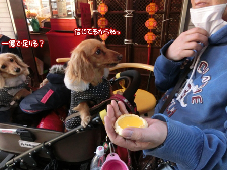 025_20140323001251bb7.jpg