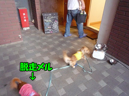 P1010670.jpg