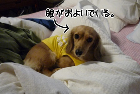 002_20111206221307.jpg