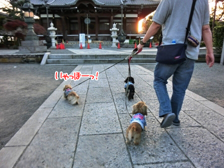 201605141.jpg
