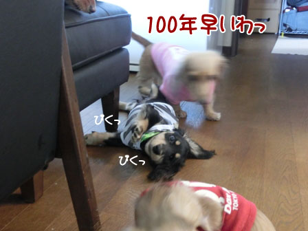 028_20130924232144a23.jpg