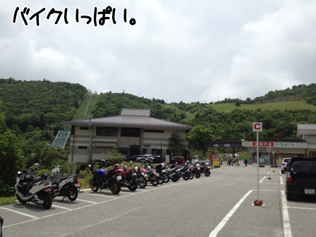 474.jpg