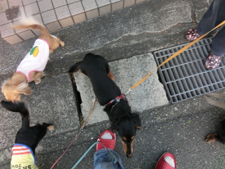 005_2014111322323590e.jpg