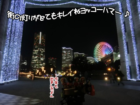 201511296.jpg