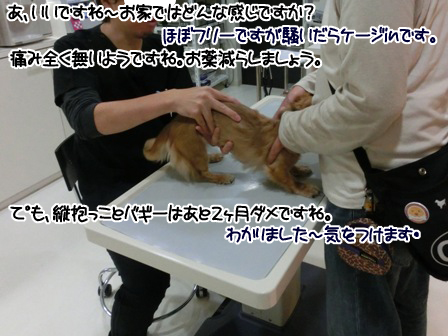 20151024001.jpg