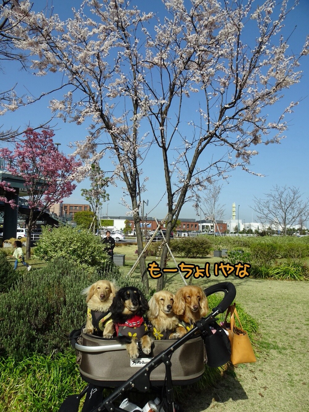 横浜駆け足さんぽ 赤れんがと中華街と元町 メルロコ一家の横須賀ストーリー Powered By ライブドアブログ