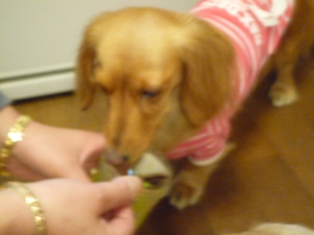 028_20120327234329.jpg