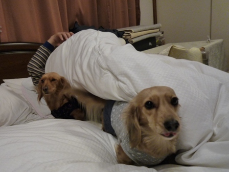 009_20120127231812.jpg