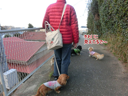 20170212-4