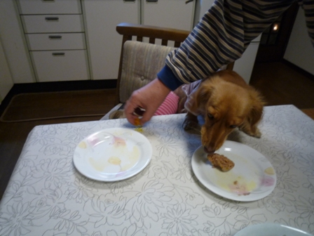 010_20120107235556.jpg