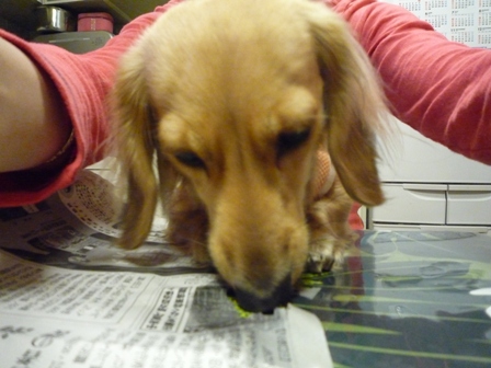 005_20101228233013.jpg