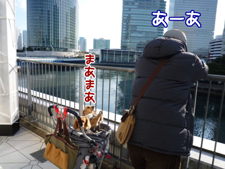 048_20120212232920.jpg