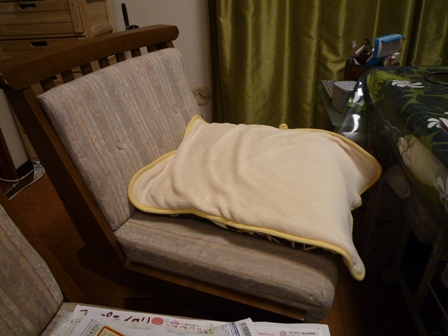 019_20110415225007.jpg