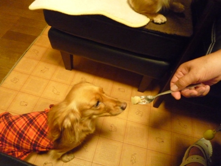 027_20120724231659.jpg
