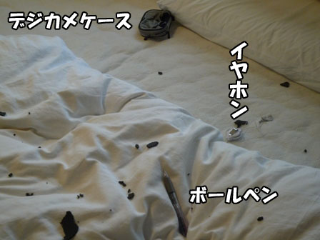 004_20110113000156.jpg
