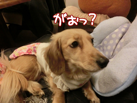201602263.jpg