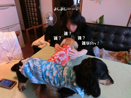 003_20140623002923d68.jpg