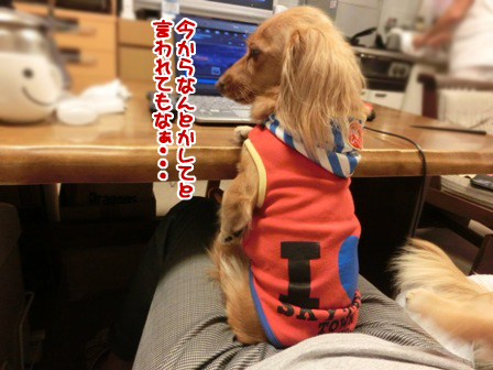 201511202.jpg