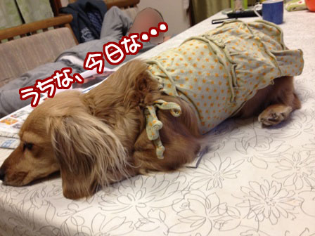 011_20120307234403.jpg