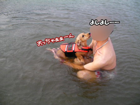 018_20120811002635.jpg