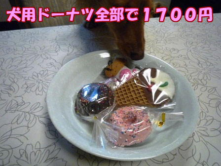 002_20120107235601.jpg
