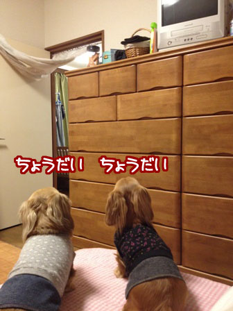 013_20120305211947.jpg
