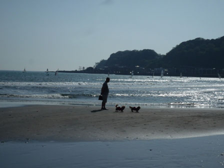 009_20120429002239.jpg
