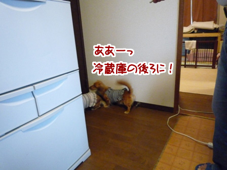 040_20110529233448.jpg