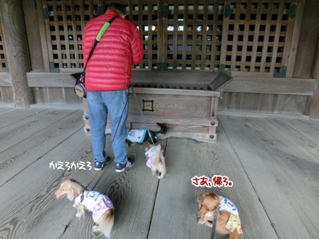 201602293.jpg