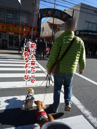 005_20111204235703.jpg