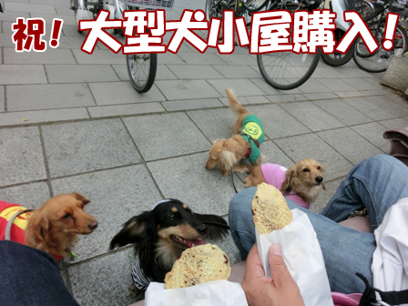 201605214.jpg
