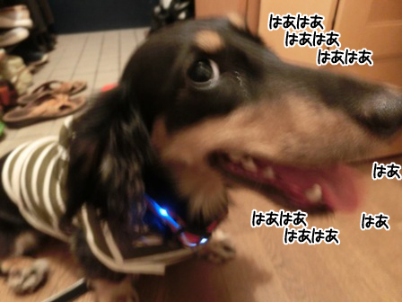 007_20150914221248ba9.jpg