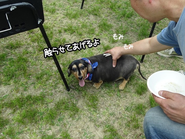 m-20190421BBQ-14