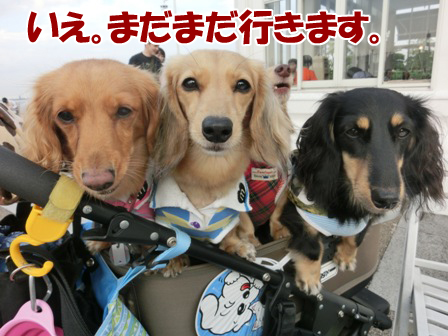 20150927045.jpg