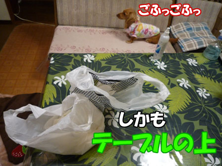 007_20101223001958.jpg