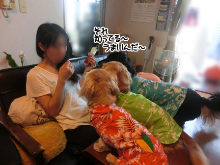 007_2015071023295087e.jpg