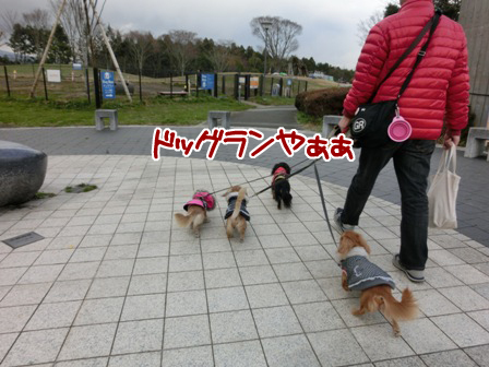 201512184.jpg