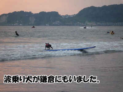P1010307 (400x300)