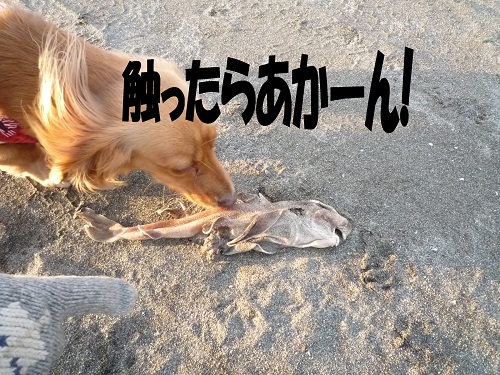 70f5e0e5.jpg
