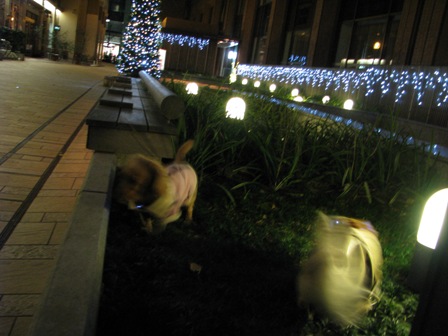 050_20101225232311.jpg