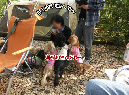 20151003021.jpg