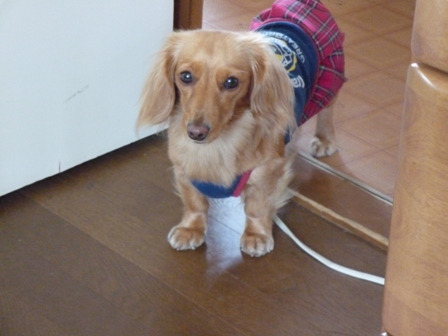 003_20110526001556.jpg