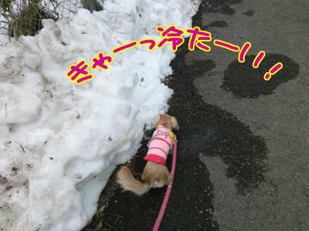 002_2014022023584304d.jpg