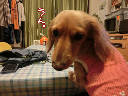 015_20130130234541.jpg