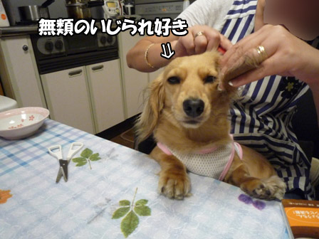 002_20120719000913.jpg