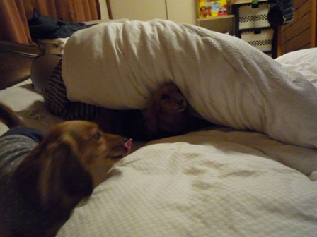 005_20120127231812.jpg