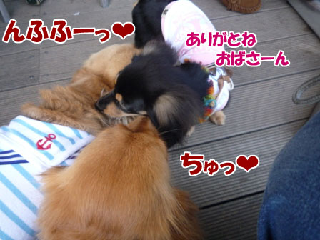 070_20120520005058.jpg