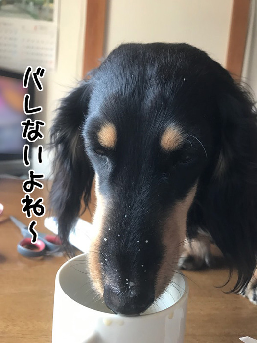 201703223