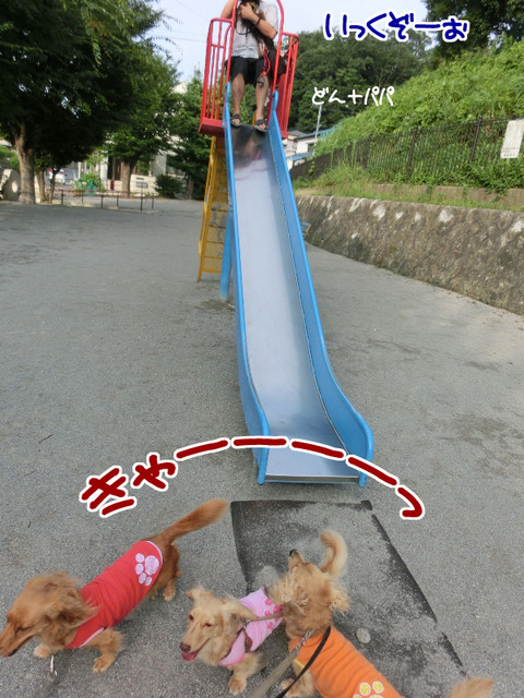 201607184