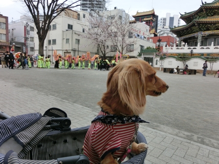 032_20130320230005.jpg